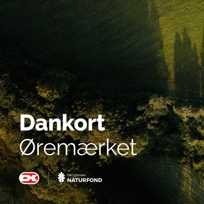 Dankort Øremærket